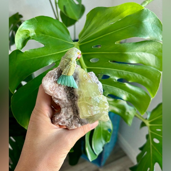 Parrot carving on Green Calcite - Picture 5 of 7